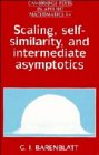 BARENBLATT: Scaling, Self-similarity, and Intermediate Asymptotics : Dimensional Analysis and Intermediate Asymptotics (Cambridge Texts in Applied Mathematics)