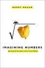 MAZUR: Imagining Numbers: (particularly the square root of minus fifteen)